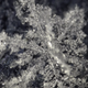 Imagen para el artículo titulado Ver derretirse copos de nieve con una lente macro es tan hipnótico como relajante